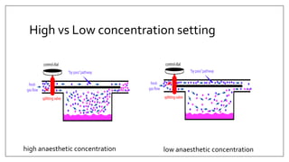High vs Low concentration setting
high anaesthetic concentration low anaesthetic concentration
 