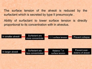 The surface tension of the alveoli is reduced by the
surfactant which is secreted by type II pneumocyte .
Ability of surfactant to lower surface tension is directly
proportional to its concentration with in alveolus.

In smaller alveoli

Surfactant are
more concentrate

↓ ↓ surface tension

Prevent collapse

In larger alveoli

Surfactant are
less concentrated

Relative ↑ in
surface tension

Prevent overdistens of alveoli

 