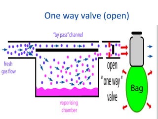 One way valve (open)
 