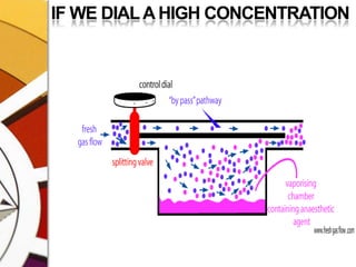 IF WE DIAL A HIGH CONCENTRATION