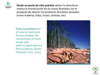 Desde un punto de vista práctico aplicar la silvicultura implica la manipulación de las masas forestales con elpropósito de obtener los productos forestales deseados (como maderas, leñas, frutos, cortezas, etc)From a practical point of view to implement forestry involves the manipulation of forest stands withorder to obtain desired forest products (wood, firewood, fruits, bark,)