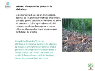 Veracruz  desaprovecha  pontecial de silviculturala siembra de arboles es un gran negocio, además de los grandes beneficios ambientales que esto genera desafortunadamente no existe en Veracruz la cultura para el cuidado del bosque y mucha de la maquinaria que se utiliza en el campo hace que se pierda gran cantidades de arboles Unexploited forestry Veracruz planting of trees is big business, in addition to the great environmental benefits that it generates in London unfortunately there is no culture for the care of the forest and much of the machinery utilis in the field causes large amounts of lost trees