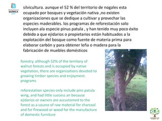 silvicultura. aunque el 52 % del territorio de nogales esta ocupado por bosques y vegetación nativa ,no existen organizaciones que se dedique a cultivar y provechar las especies maderables. los programas de reforestación solo incluyen ala especie pinus patula , y han tenido muy poco éxito debido a que ejidarios o propietarios están habituados a la explotación del bosque como fuente de materia prima para elaborar carbón y para obtener leña o madera para la fabricación de muebles domésticosforestry. although 52% of the territory of walnut forests and is occupied by native vegetation, there are organizations devoted to growing timber species and enjoyment. programsreforestation species only include pins patula wing, and had little success an because ejidarios or owners are accustomed to the forest as a source of raw material for charcoal and for firewood or wood for the manufacture of domestic furniture