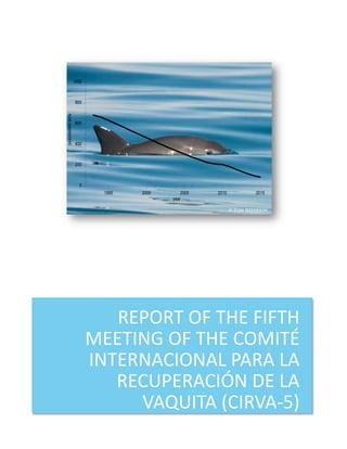 REPORT OF THE FIFTH
MEETING OF THE COMITÉ
INTERNACIONAL PARA LA
RECUPERACIÓN DE LA
VAQUITA (CIRVA-5)
1995 2000 2005 2010 2015
year
0
200
400
600
800
1000
populationsize
 
