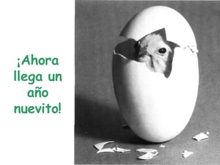 ¡ Ahora llega un año nuevito! 