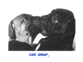 con amor, 