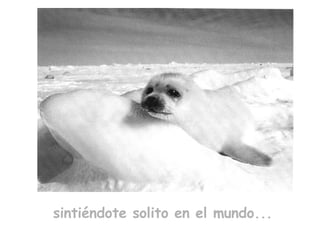 sintiéndote solito en el mundo... 