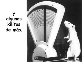 y algunos kilitos de más . 