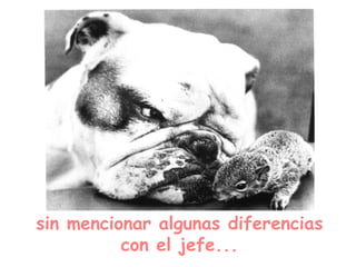 sin mencionar algunas diferencias con el jefe... 