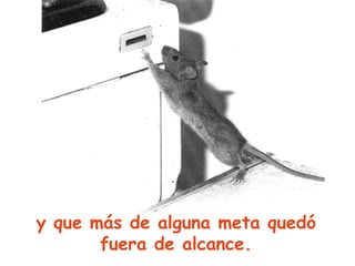 y que más de alguna meta quedó fuera de alcance. 