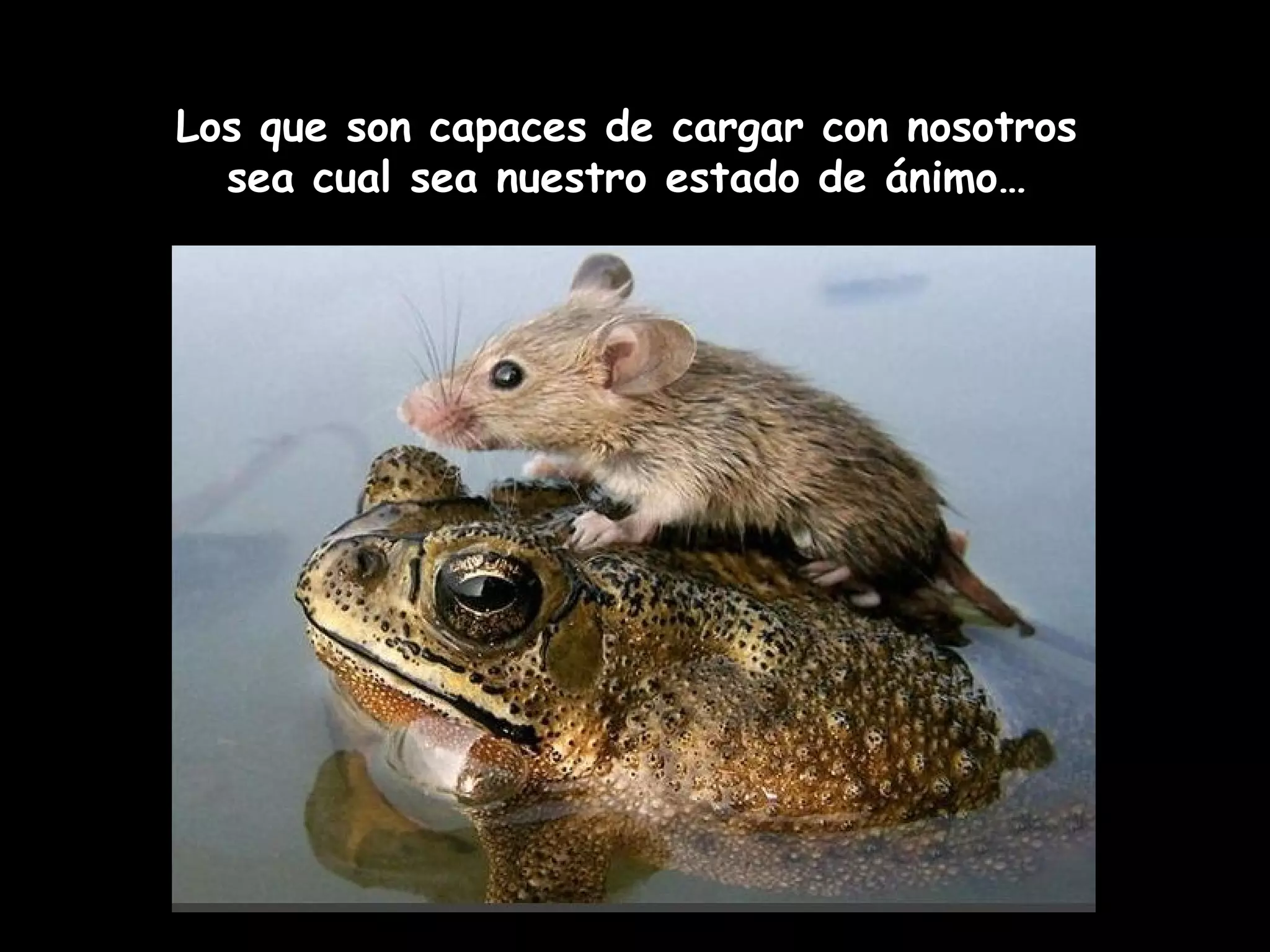 Los que son capaces de cargar con nosotros
sea cual sea nuestro estado de ánimo…
 