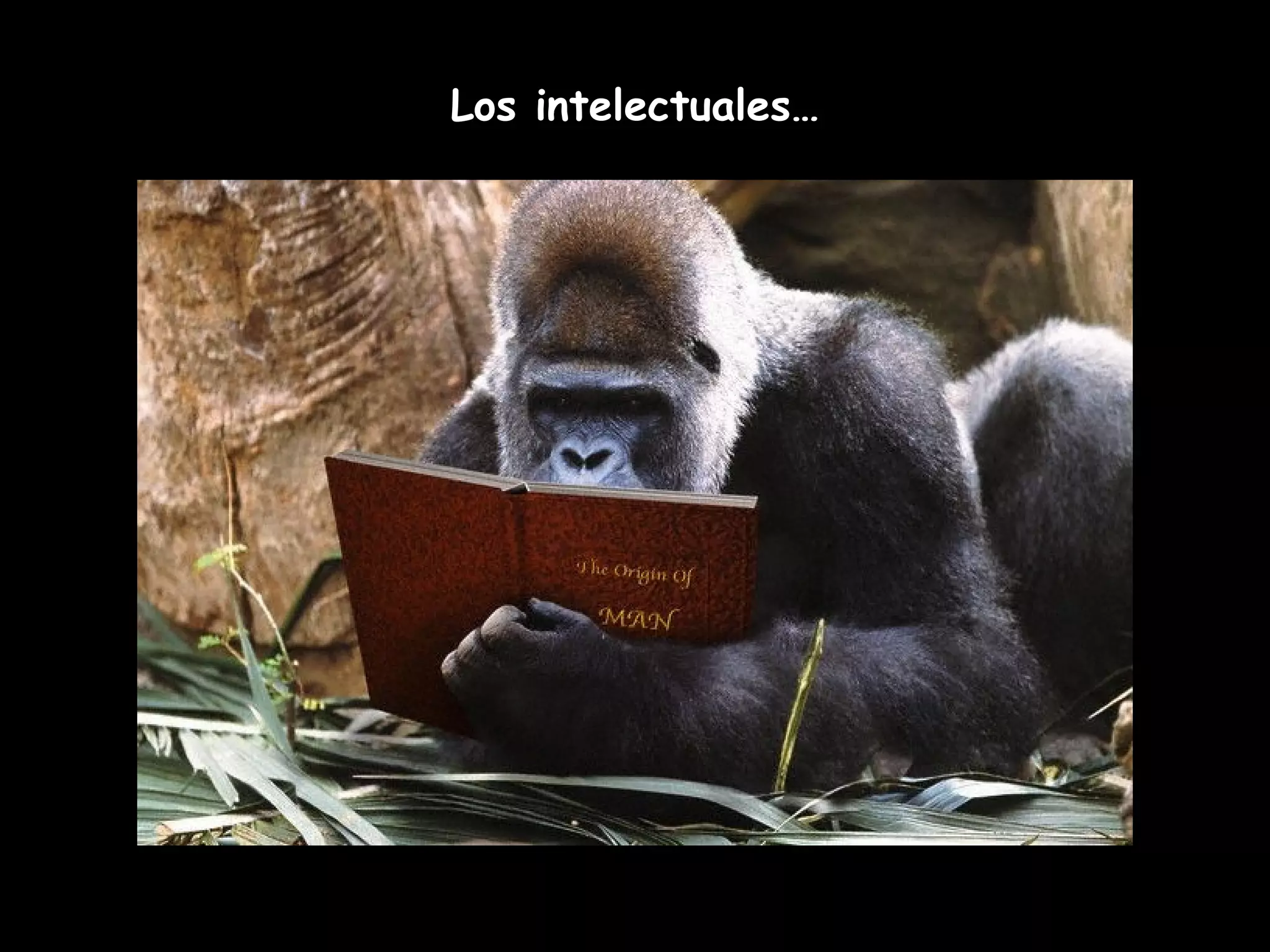 Los intelectuales…
 