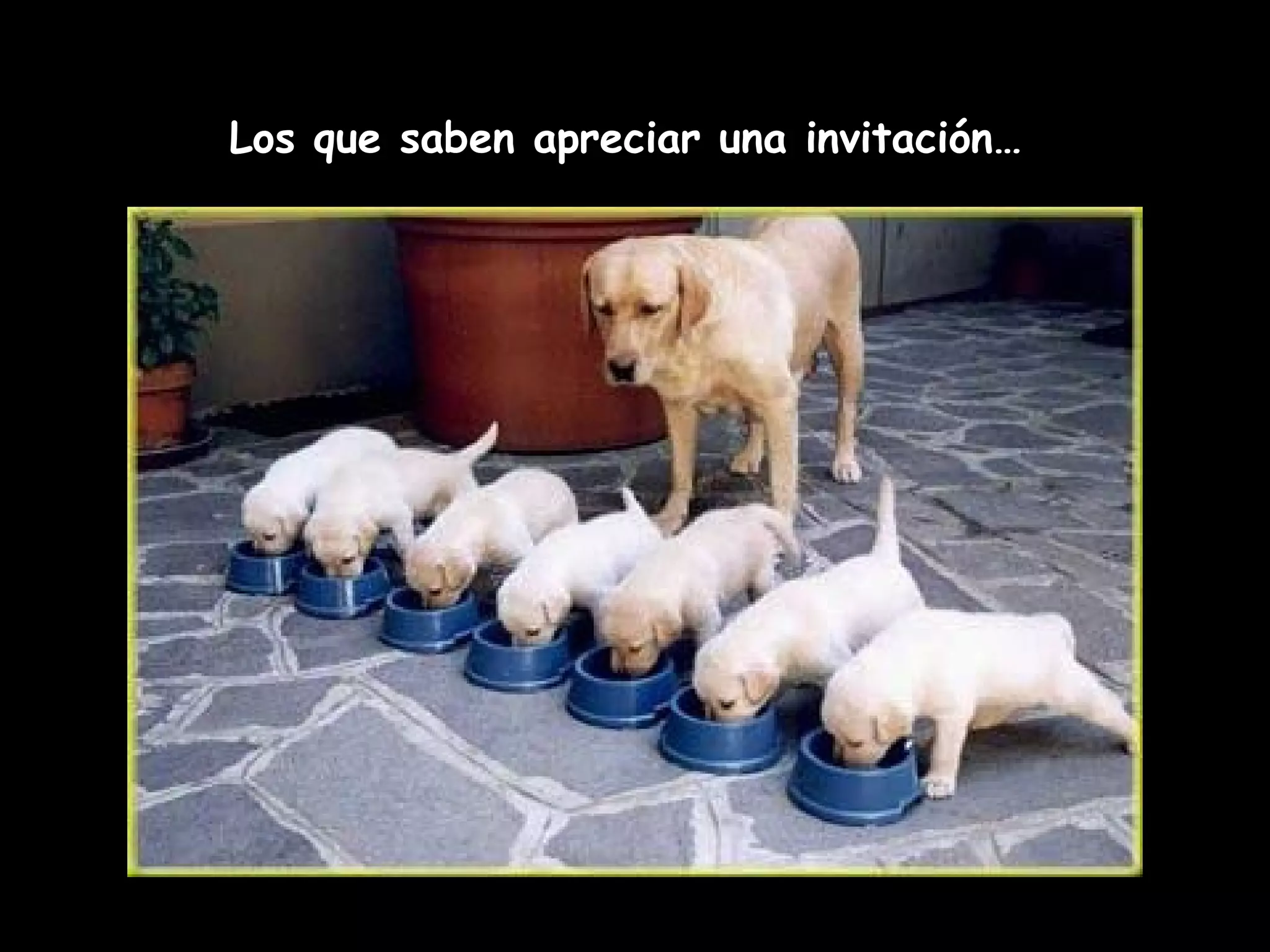 Los que saben apreciar una invitación…
 