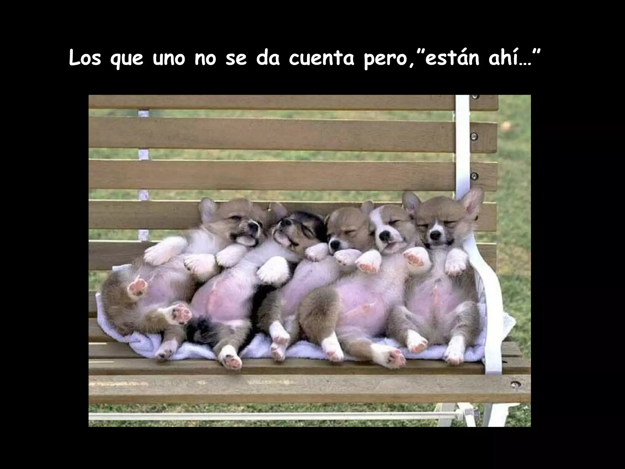 Los que uno no se da cuenta pero,”están ahí…”
 