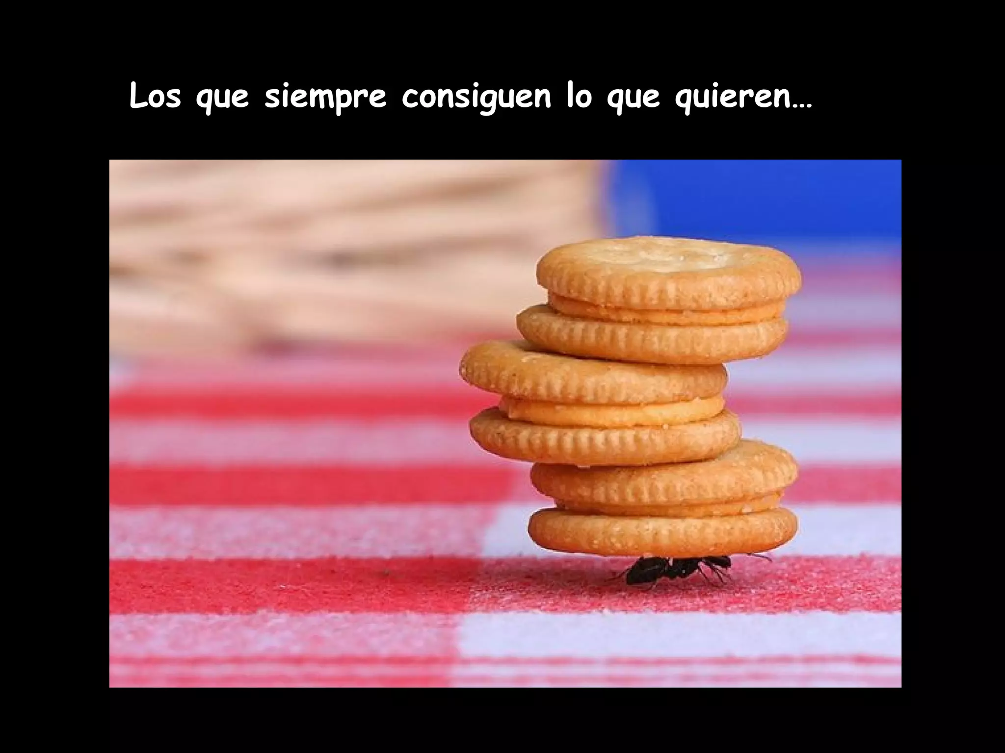 Los que siempre consiguen lo que quieren…
 