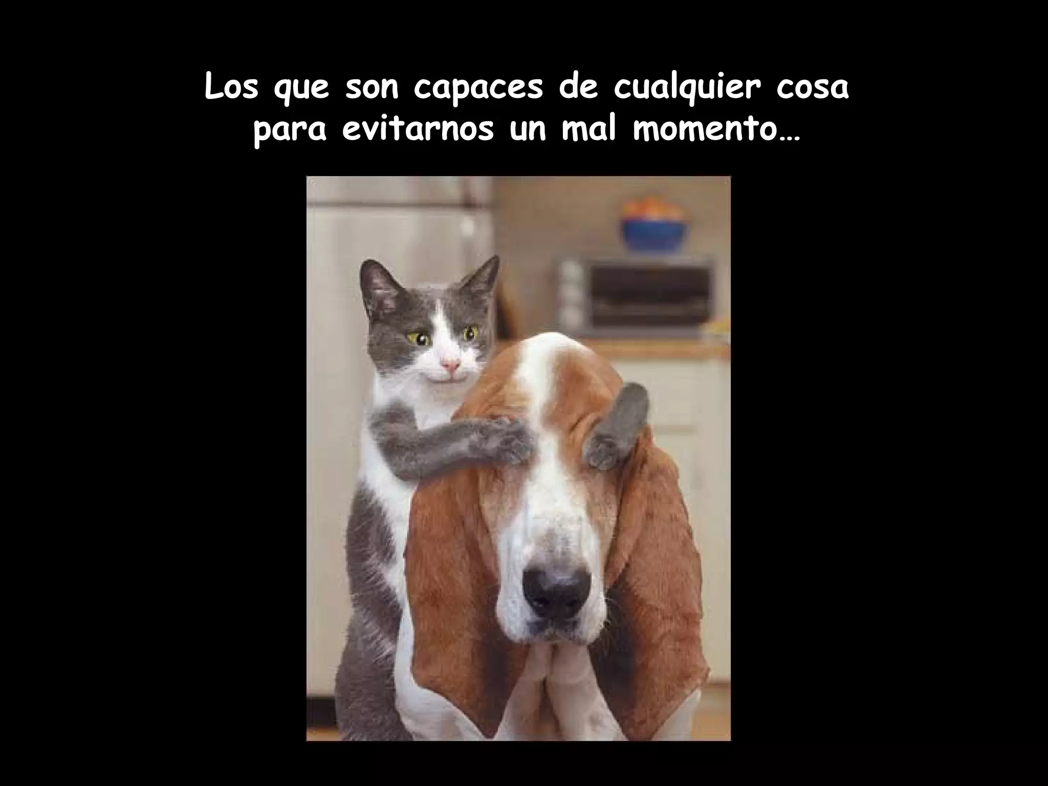 Los que son capaces de cualquier cosa
para evitarnos un mal momento…
 