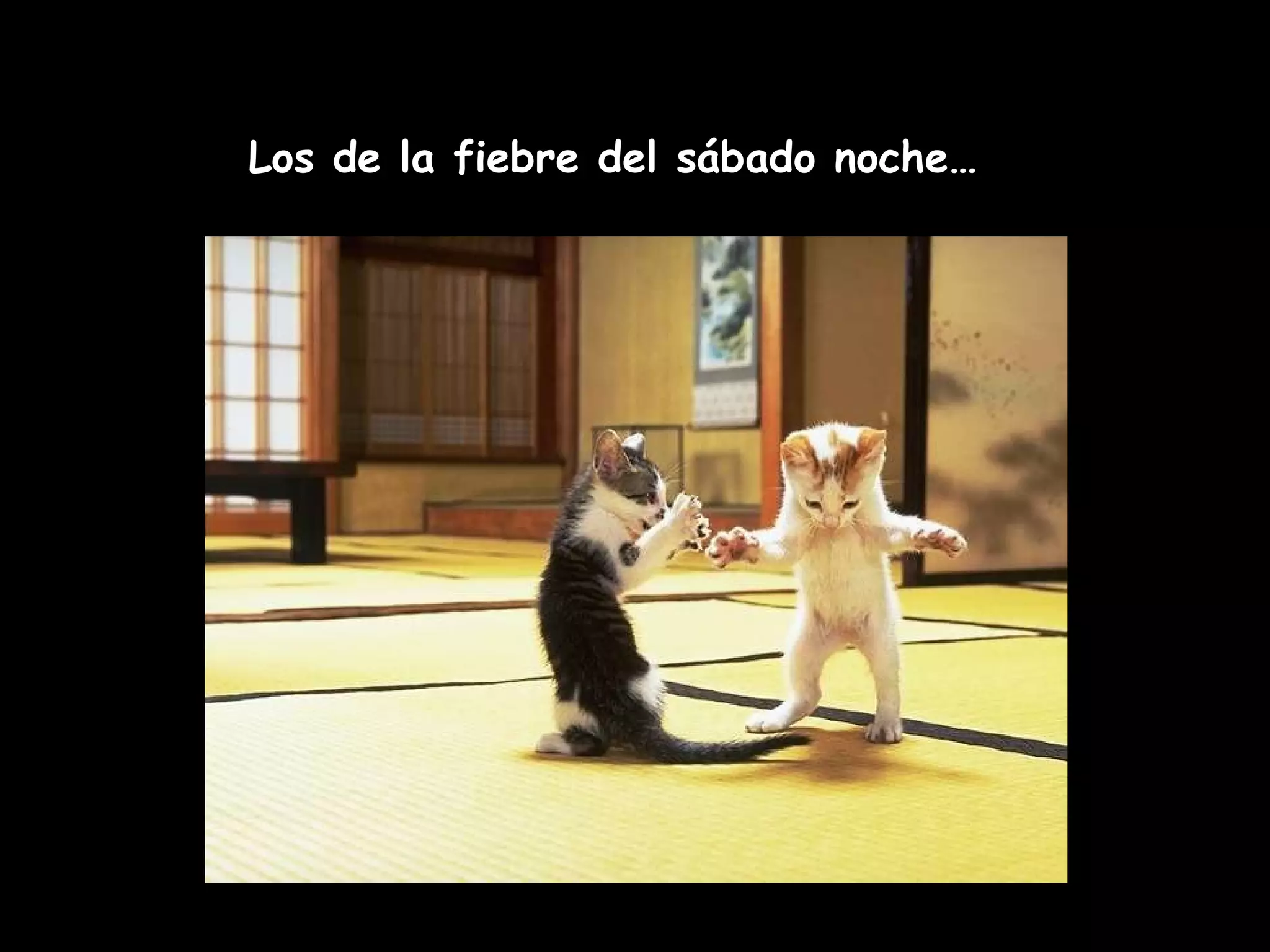 Los de la fiebre del sábado noche…
 