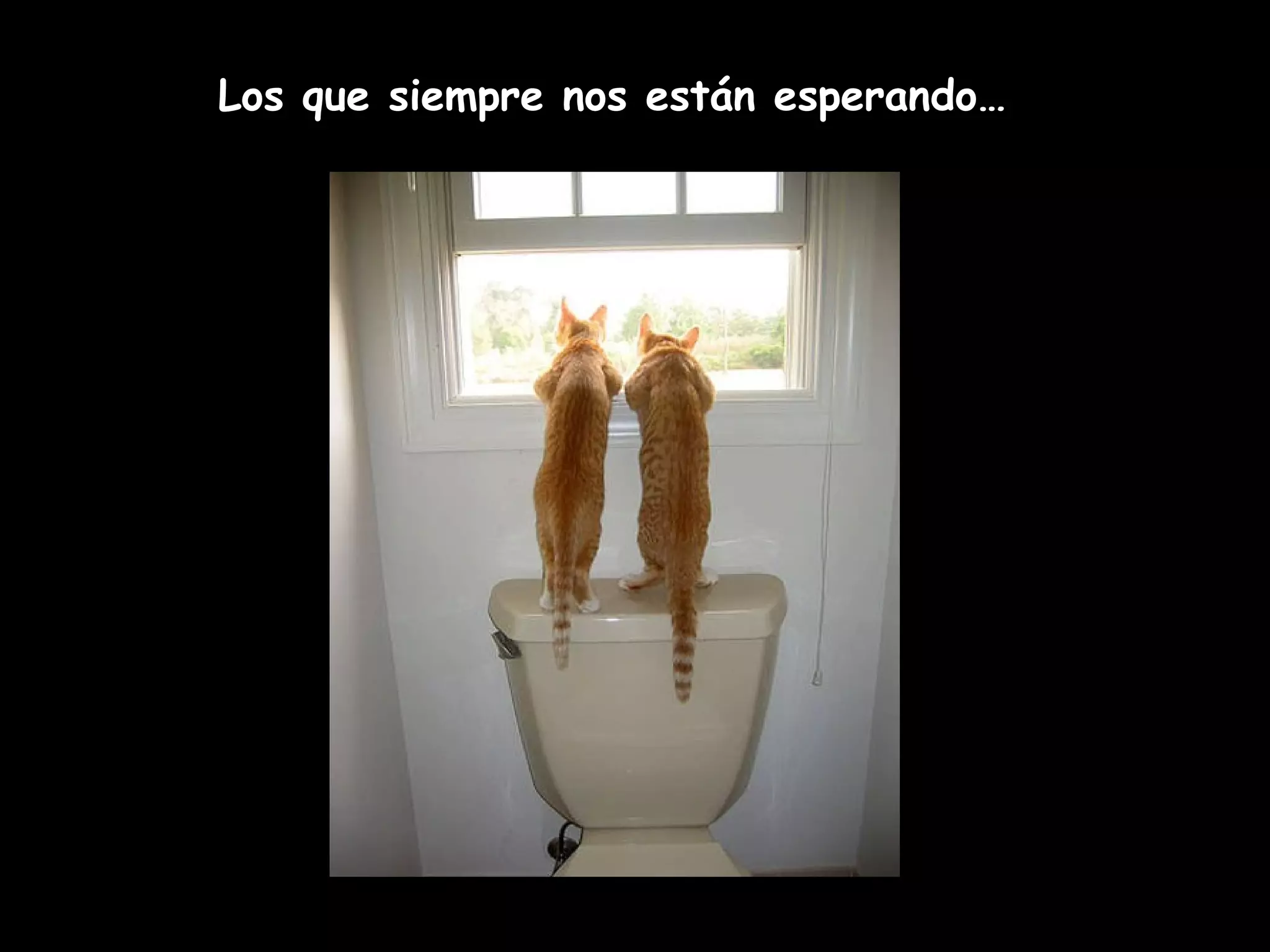 Los que siempre nos están esperando…
 