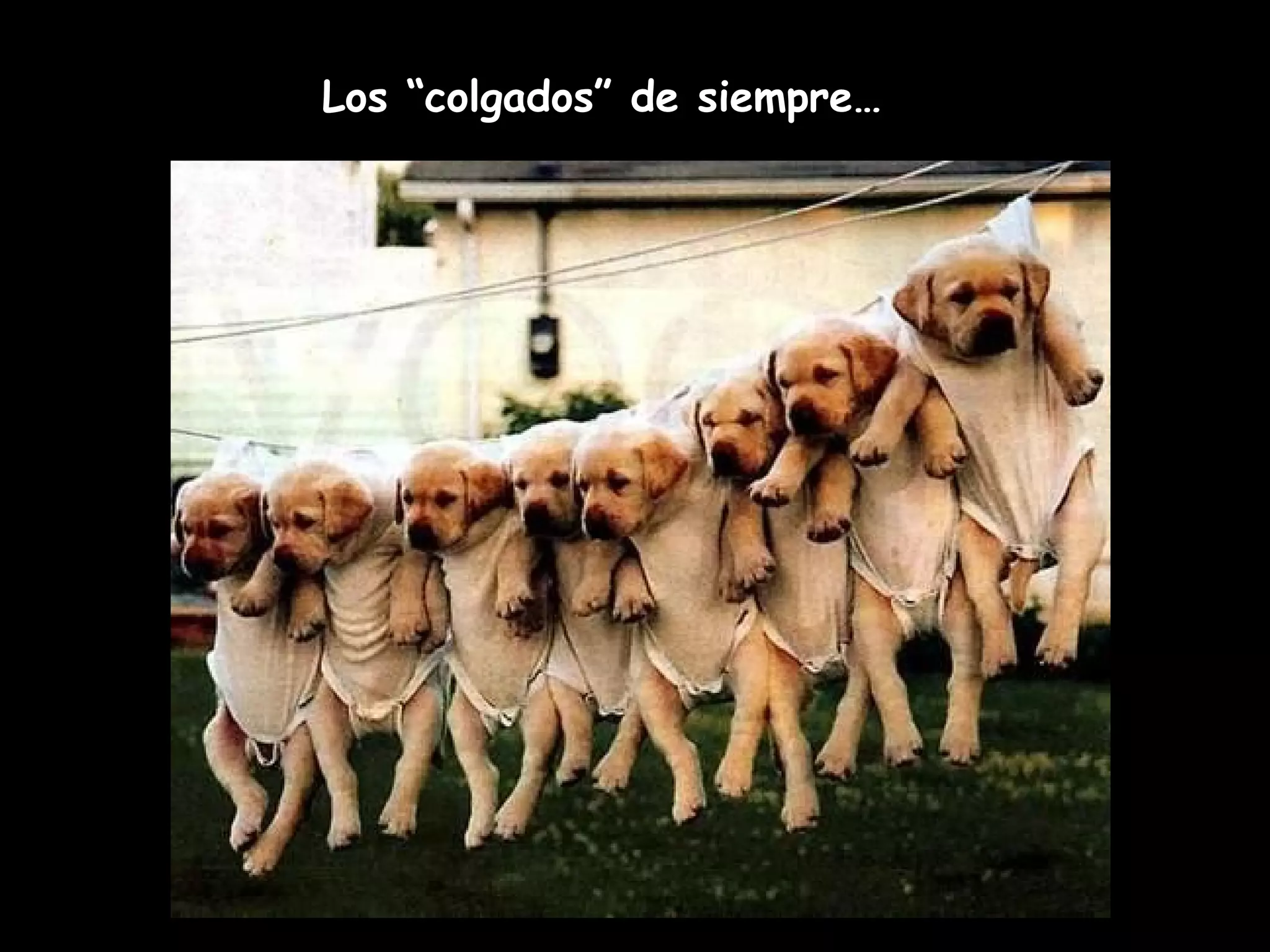 Los “colgados” de siempre…
 