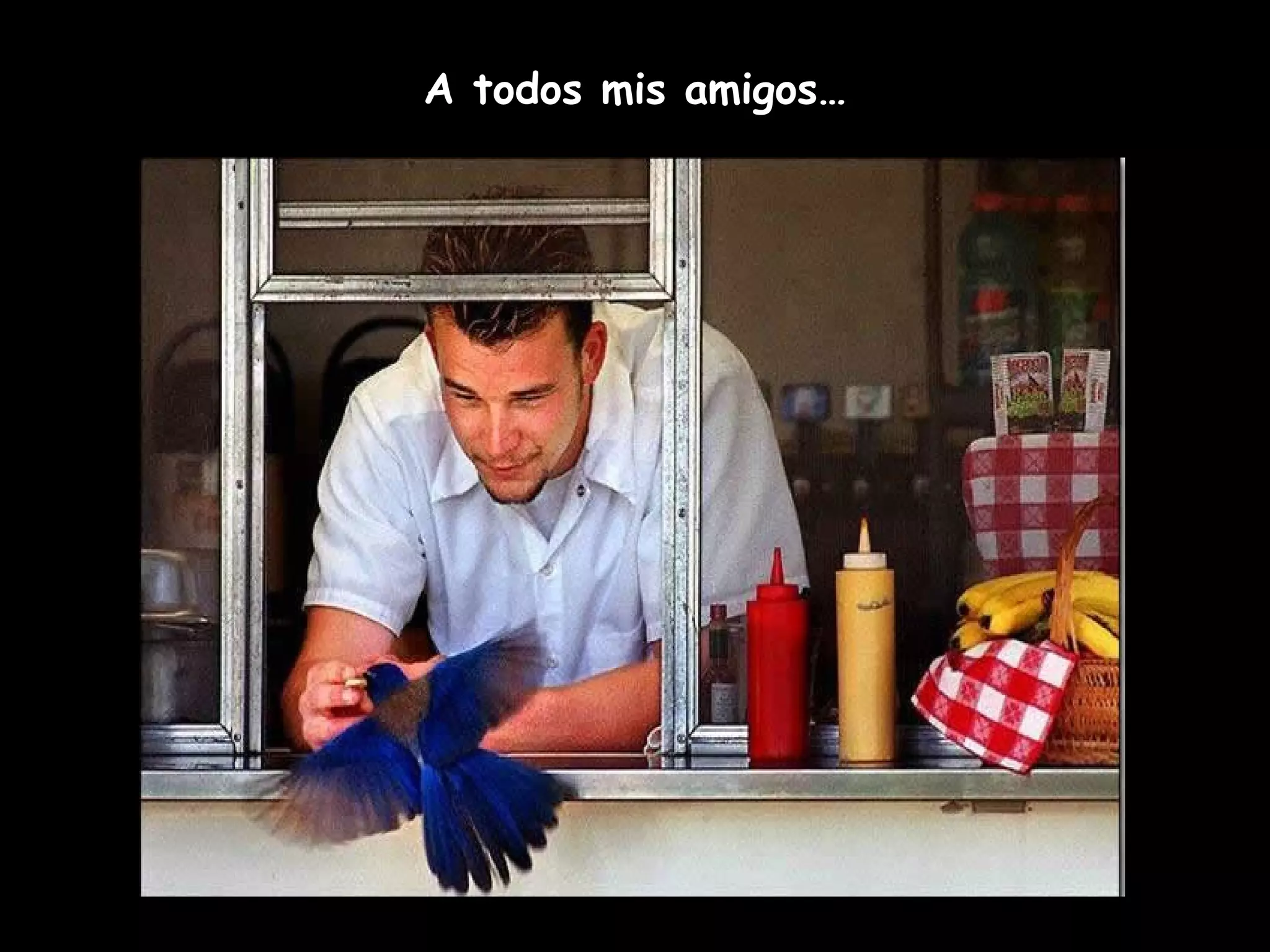 A todos mis amigos…
 