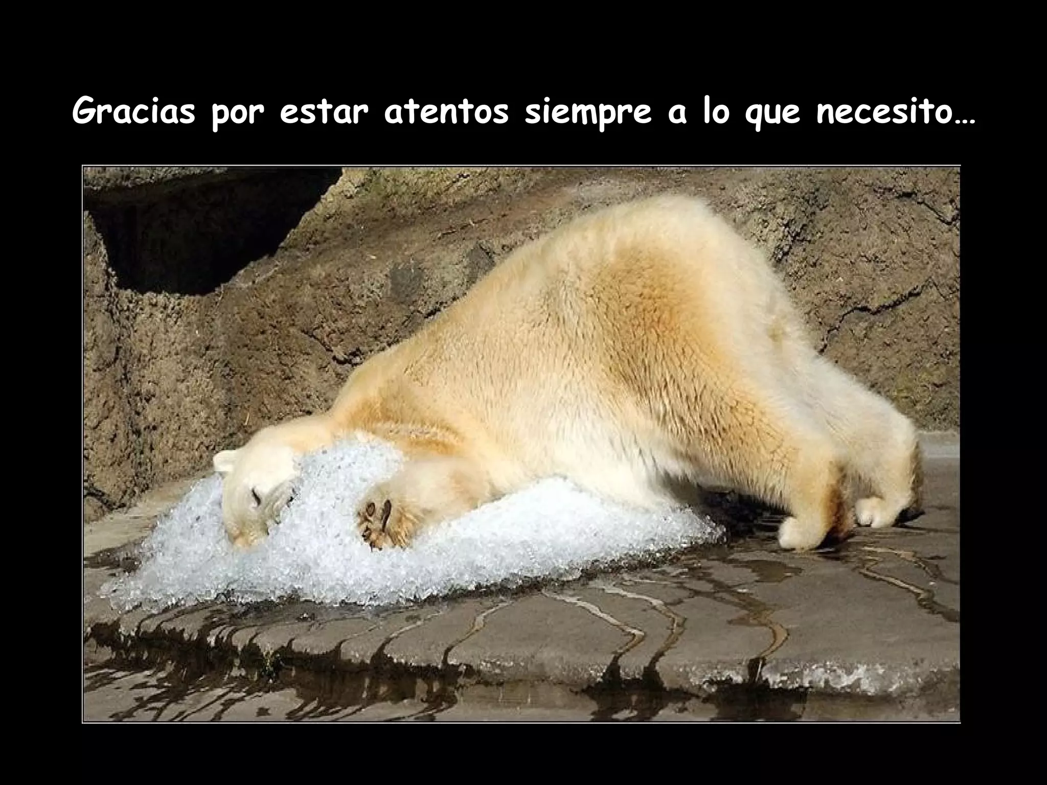 Gracias por estar atentos siempre a lo que necesito…
 