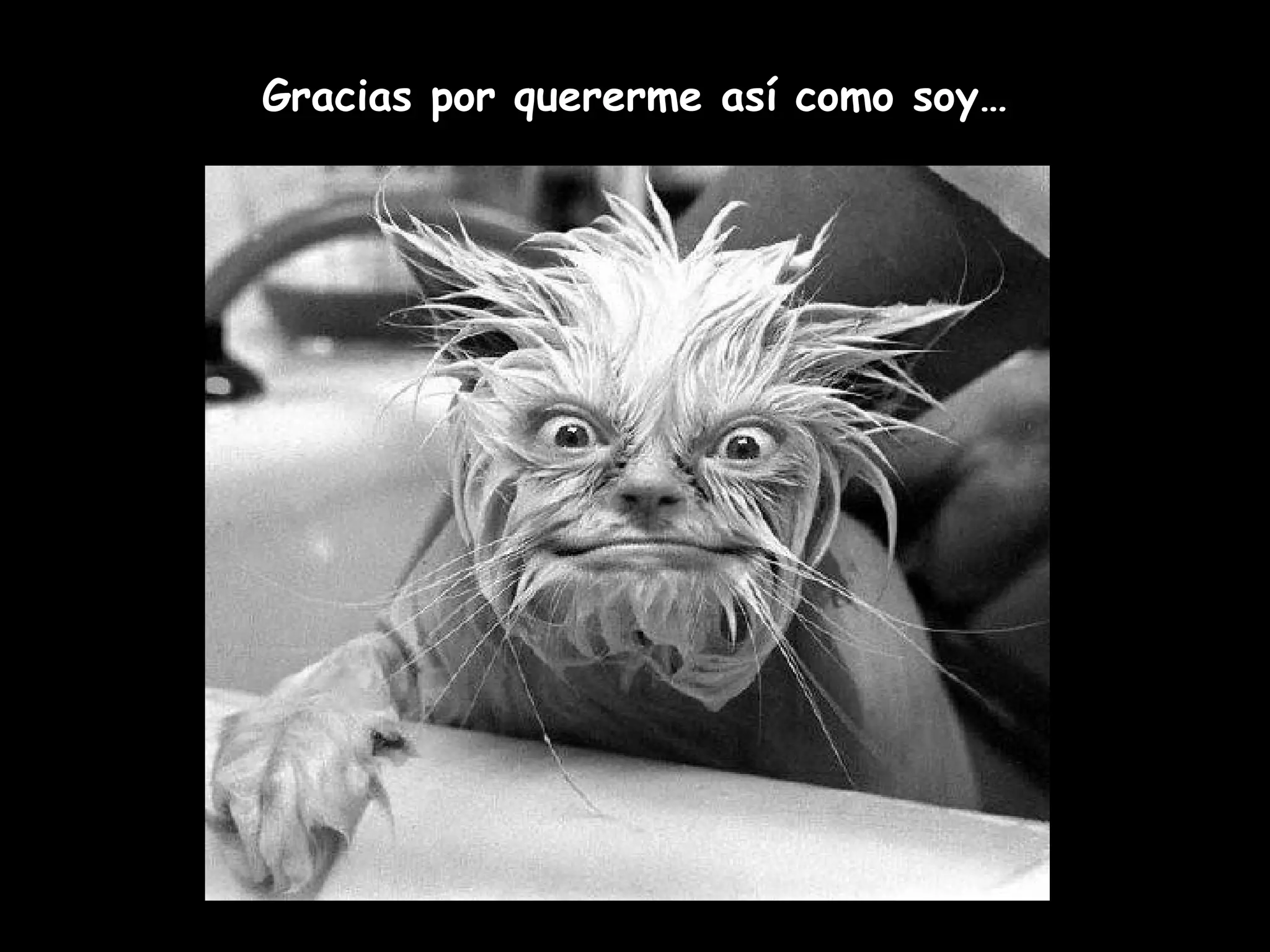 Gracias por quererme así como soy…
 