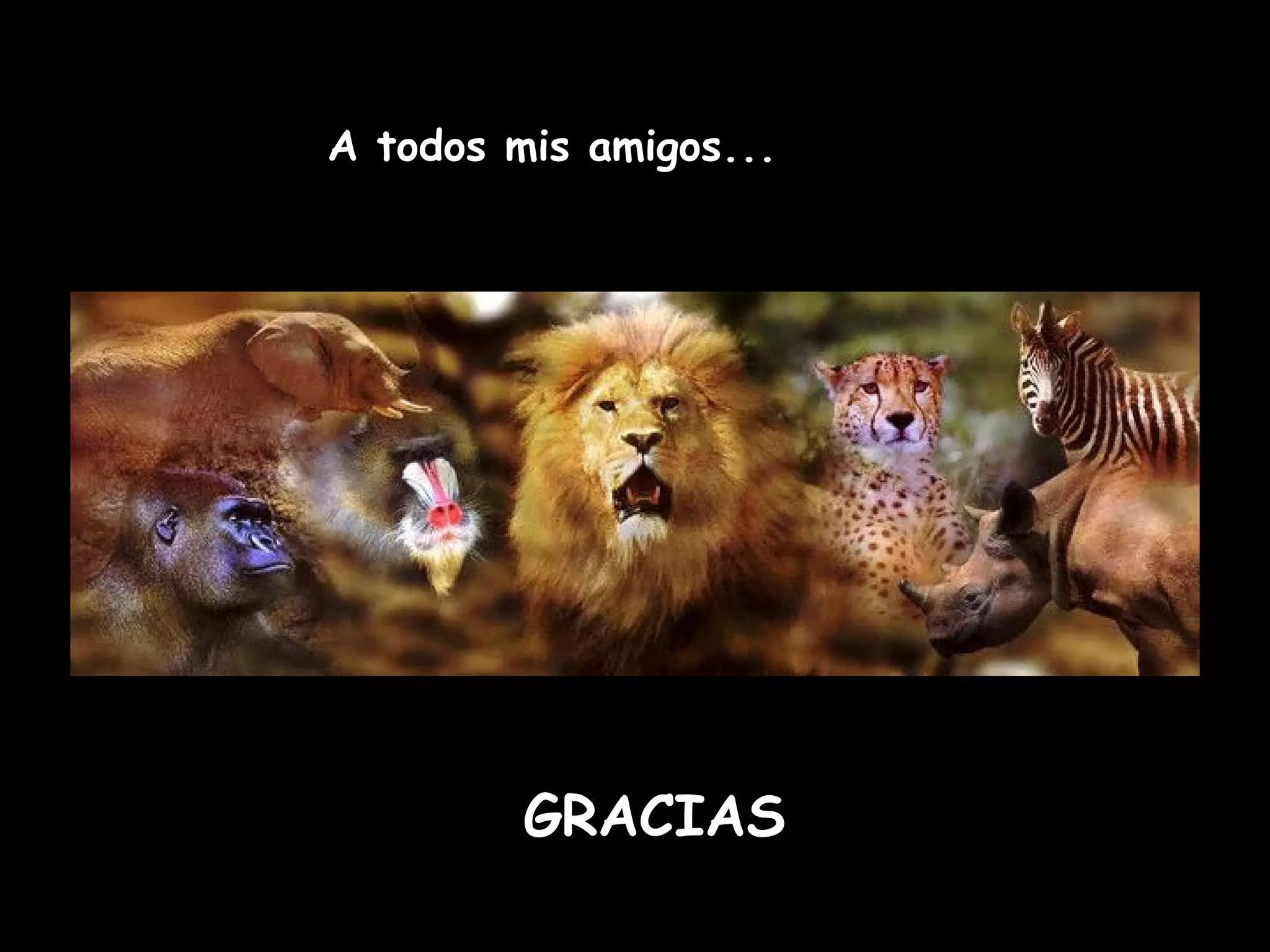 A todos mis amigos...
GRACIAS
 