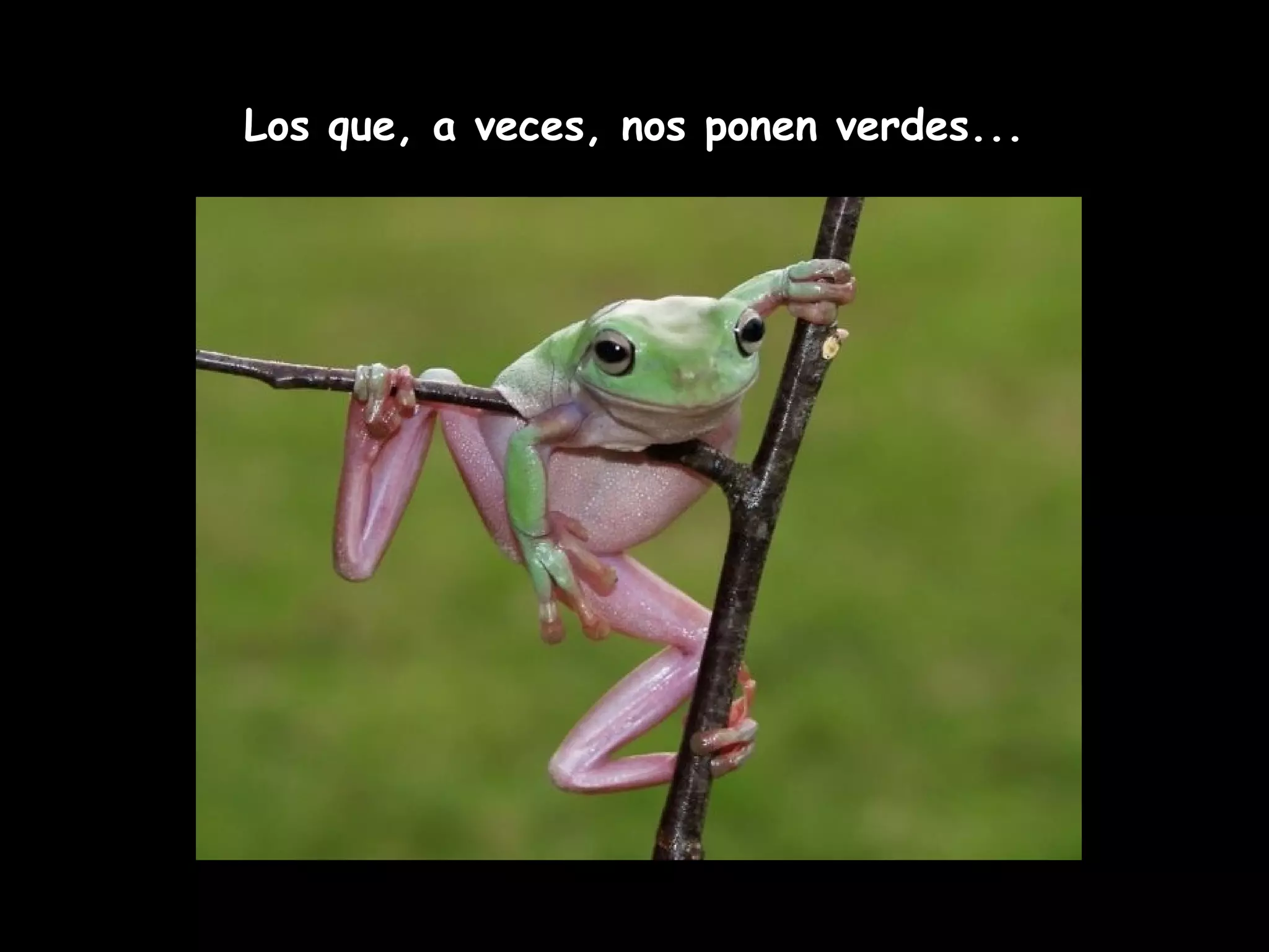 Los que, a veces, nos ponen verdes...
 