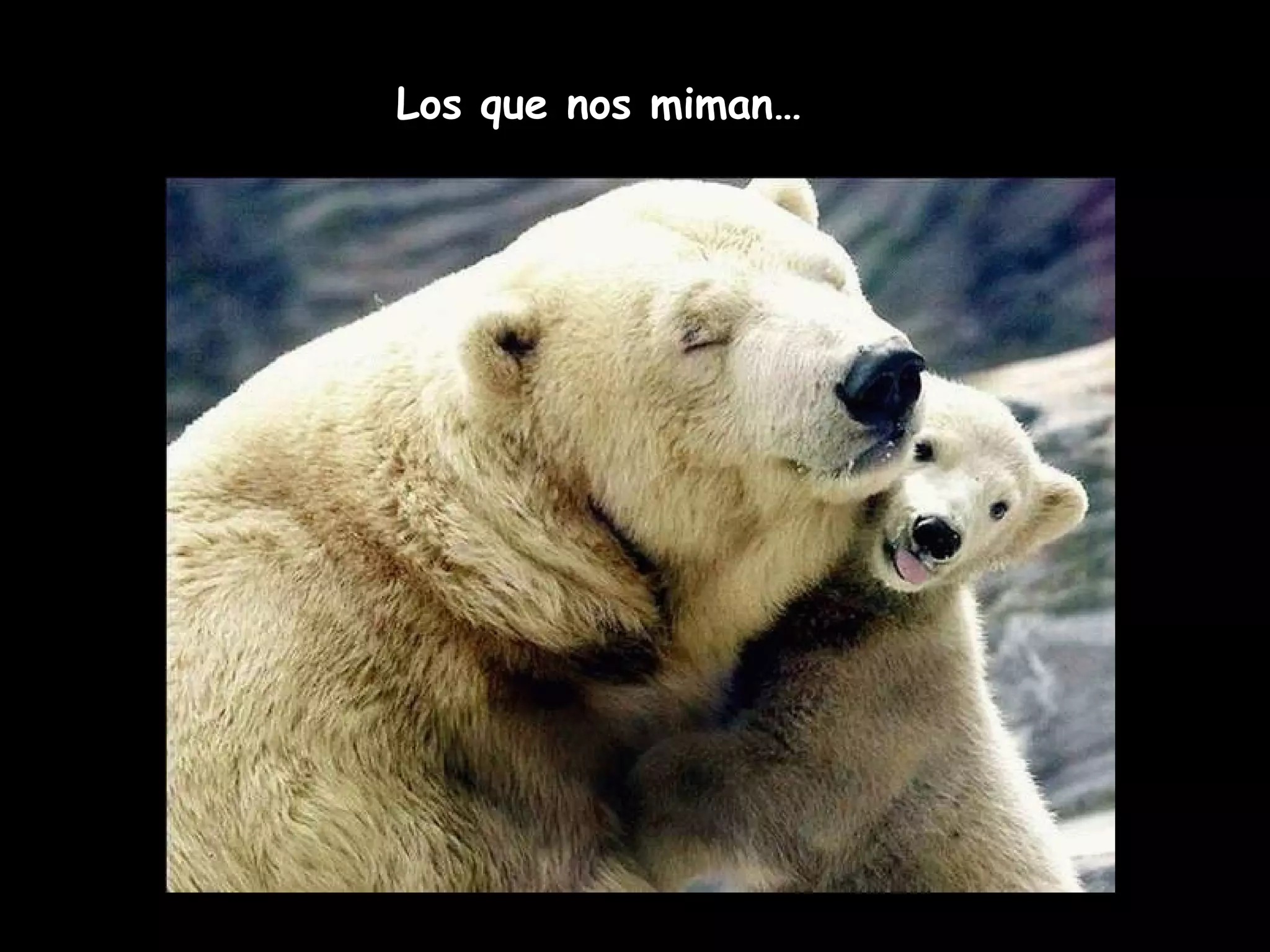 Los que nos miman…
 