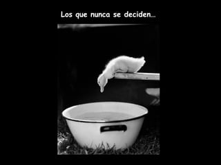Los que nunca se deciden…
 