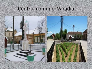 Varadia Varadia | PPTX