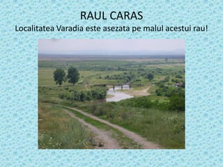 Varadia Varadia | PPTX
