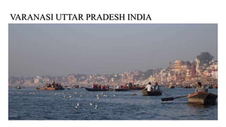 VARANASI UTTAR PRADESH INDIA
 