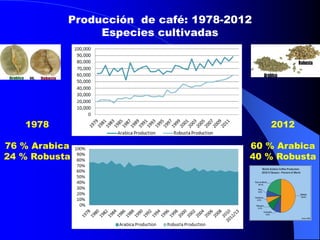 Producción de café: 1978-2012
Especies cultivadas

1978

2012

76 % Arabica
24 % Robusta

60 % Arabica
40 % Robusta

 