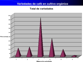 Variedades de café en cultivo orgánico

 