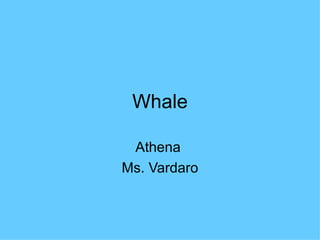 Whale Athena  Ms. Vardaro 