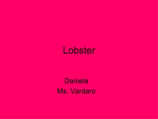 Lobster Daniela Ms. Vardaro 
