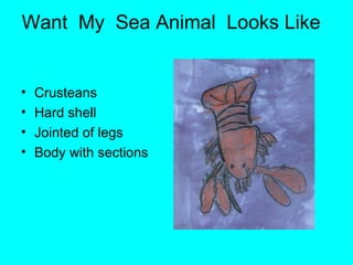 Want  My  Sea Animal  Looks Like  Crusteans Hard shell Jointed of legs  Body with sections 