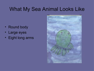 What My Sea Animal Looks Like Round body Large eyes  Eight long arms 