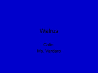 Walrus Colin  Ms. Vardaro 