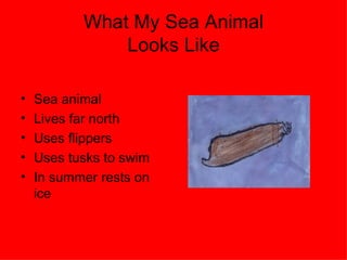 What My Sea Animal Looks Like Sea animal Lives far north Uses flippers Uses tusks to swim In summer rests on  ice 