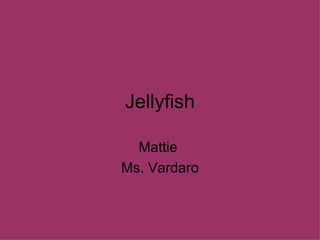 Jellyfish Mattie  Ms. Vardaro 