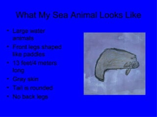 What My Sea Animal Looks Like Large water animals Front legs shaped like paddles 13 feet/4 meters long Gray skin Tail is rounded No back legs 