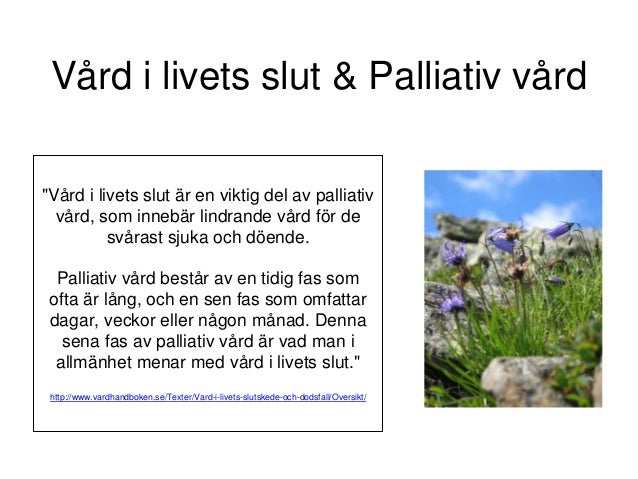Varför är Helhetssyn Viktig I Vård Och Omsorg