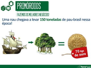 PRIMÓRDIOS
         FAZEMOS OS MELHORES NEGÓCIOS!
Uma nau chegava a levar 150 toneladas de pau-brasil nessa
época!
 