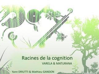 Racines de la cognition
                    VARELA & MATURANA

Yann DRIUTTI & Mathieu GANDON
 