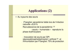 Au royaume des souris

        P.berghei: parasitémie faible lors de l’infection
       naturelle <0,01%
   -   Recrudescence de la parasitémie: (5)
                 - souris « humanisée » reproduire la
       phase érythrocytaire

   -   - Inoculation de souris par GPI
       (glycosylphosphatidylinositol ) artificiel (6) et
       immunisation par P.berghei: 75% de protection
 