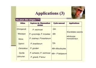!"




Chimpanz        P. reichnowi               24h
                                                              -Candidats vaccins
 Macaque     P. cynomolgi, P. knowlesi    48h
                                                              -Anticorps
 Aotus       P. coatneyi, P brasilianum                       monoclonaux

 Sa,miri      P. brasilianum              72h

 Cerocebus    P. gonderi                  48h-r ticulocytes

  Gorille    P. schwetzi, P. reichnowi 48h~ P falciparum
L murien      P. girardi, P lemur
 
