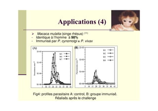 Macaca mulatta (singe rhésus) (11)
-     Identique à l’homme à 98%
-     Immunisé par P. cynomolgi = P. vivax
                                (B)




    Fig4: profiles parasitaire A: control, B: groupe immunis .
                    R alis s apr s le challenge
 