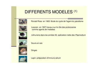 DIFFERENTS MODELES (1)

  Ronald Ross en 1902: tude du cycle de l agent du paludisme


  Laveran en 1907 travaux sur le rôle des protozoaires
   comme agents de maladies

  L muriens dans les ann es 50, sp ciation nette des Plasmodium



  Souris et rats


  Singes



  Lapin: pr paration d immuno-s rum
 